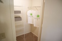 Photo #7